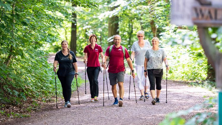 Patientengruppe wandert durch den Wald