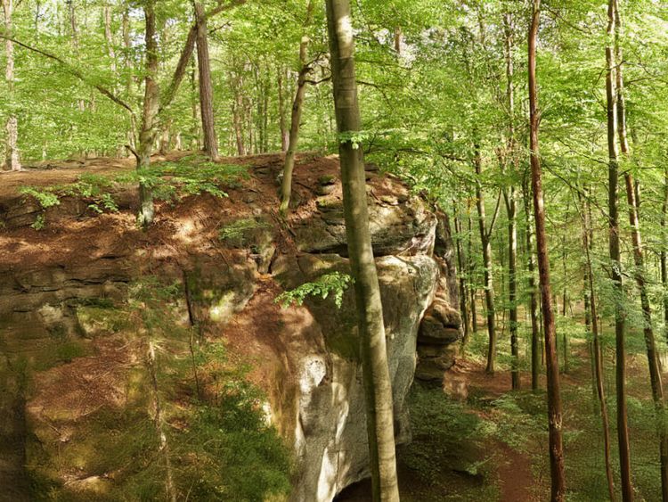 Drachenschlucht im Thüringer Wald