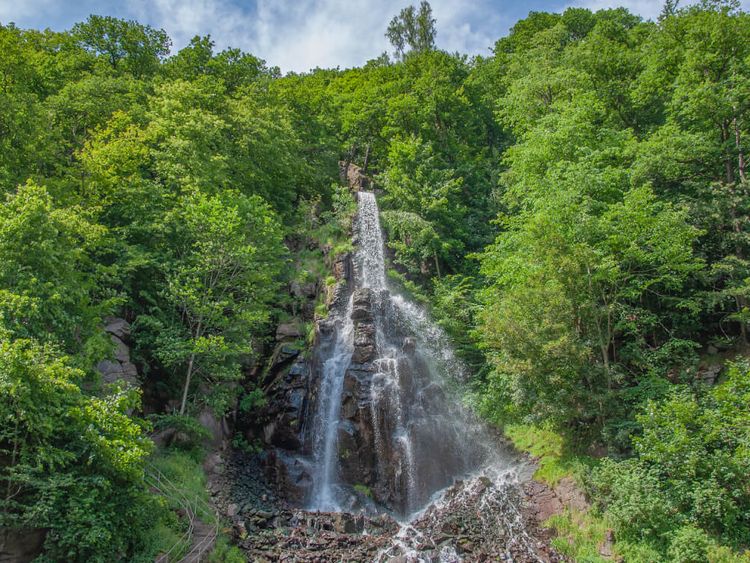Trusetaler Wasserfall rauscht durch den Wald